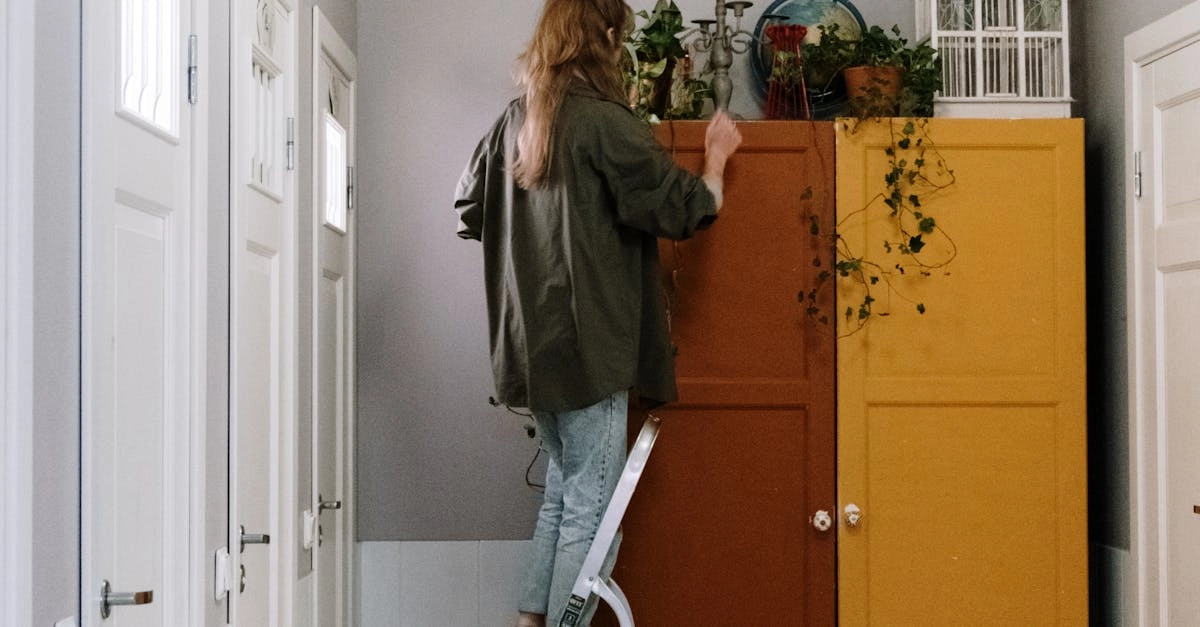 Научно обоснованные методы домашнего садоводства с растениями в горшках