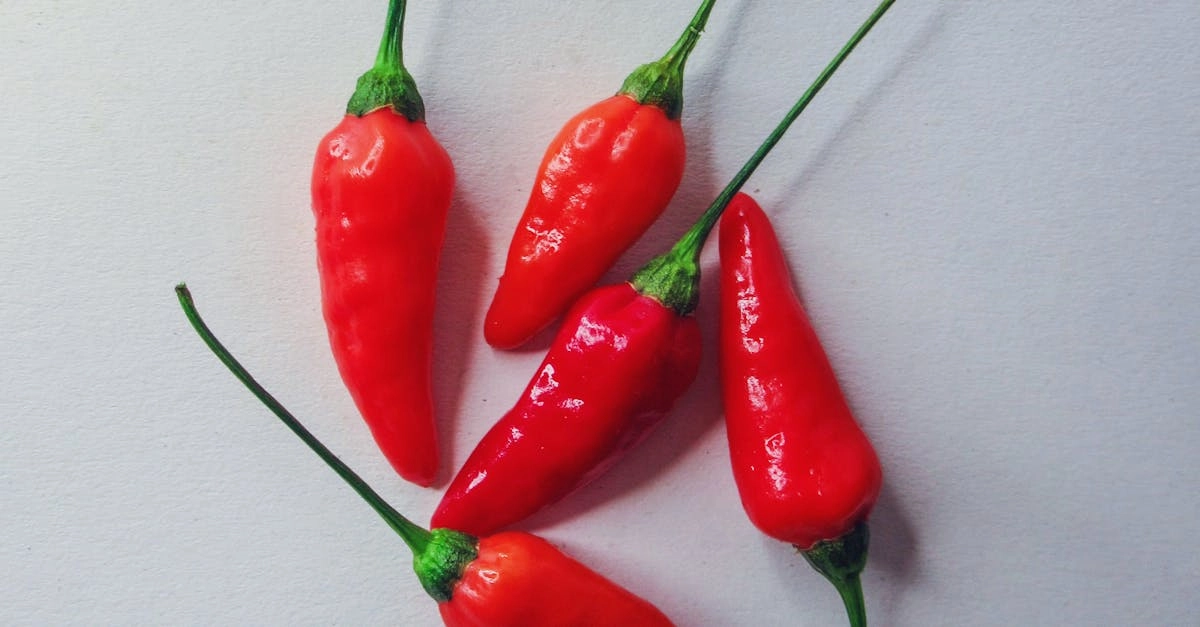 Анализ механизмов слот игры Chilli Heat с научными данными